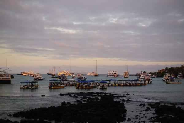 articles/equateur-arrivee-galapagos/DSC06651.JPG