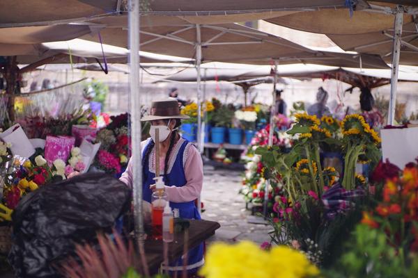 articles/equateur-cuenca-premiere-ville-continent/DSC07426.JPG
