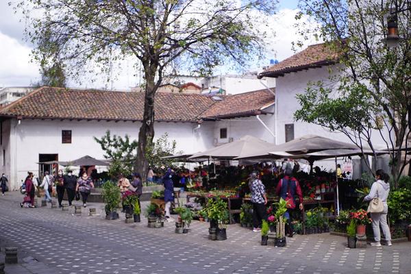articles/equateur-cuenca-premiere-ville-continent/DSC07430.JPG