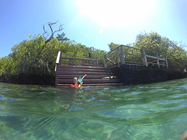 articles/galapagos-isla-isabela/AAYDXJ0026.jpg