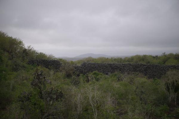articles/galapagos-isla-isabela/DSC06903.jpg
