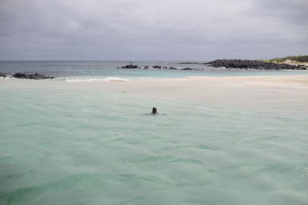 articles/galapagos-isla-san-cristobal/DSC07002.jpg