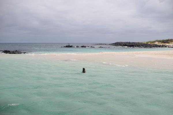 articles/galapagos-isla-san-cristobal/DSC07003.jpg