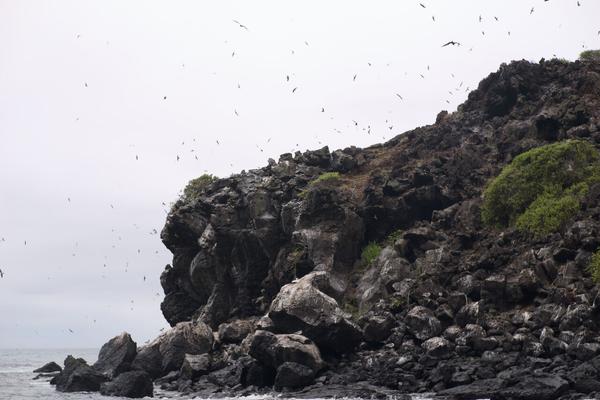 articles/galapagos-isla-san-cristobal/DSC07029.jpg