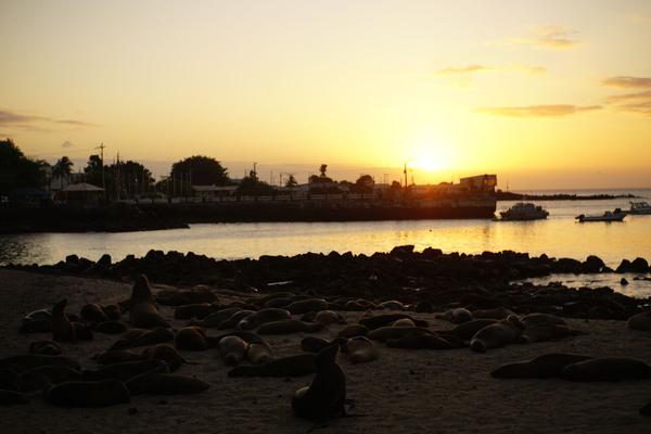 articles/galapagos-isla-san-cristobal/DSC07087.JPG