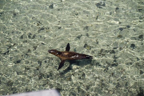 articles/galapagos-isla-san-cristobal/DSC07145.JPG