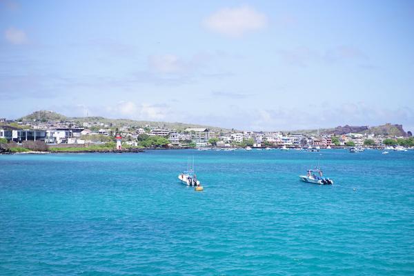 articles/galapagos-isla-san-cristobal/DSC07159.JPG