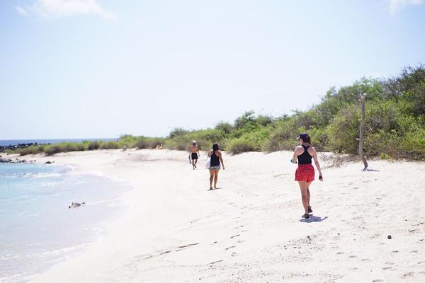 articles/galapagos-isla-san-cristobal/DSC07169.JPG