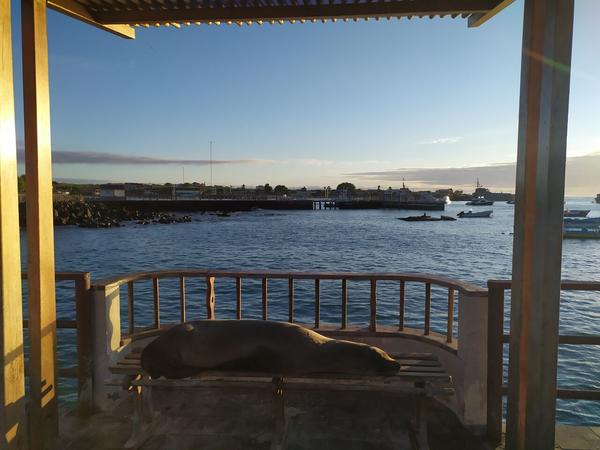 articles/galapagos-isla-san-cristobal/IMG_20210520_172938.jpg