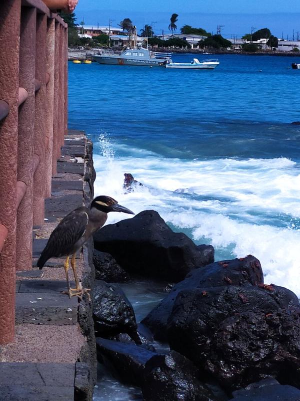 articles/galapagos-isla-san-cristobal/IMG_20210522_101254.jpg