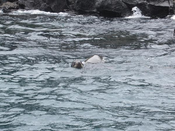 articles/galapagos-isla-san-cristobal/IMG_2272.JPG