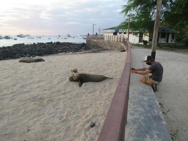 articles/galapagos-isla-san-cristobal/IMG_2285.JPG
