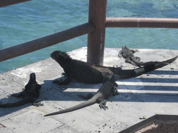 articles/galapagos-isla-san-cristobal/IMG_2353.JPG