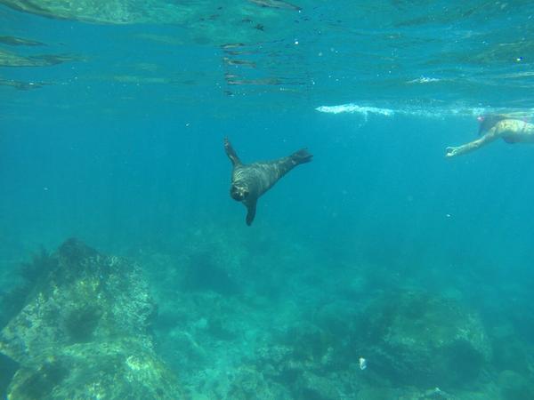 articles/galapagos-isla-san-cristobal/OTYDXJ0012.jpg