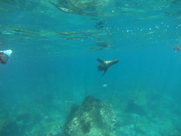articles/galapagos-isla-san-cristobal/OTYDXJ0014.jpg