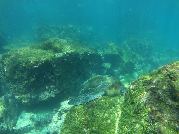 articles/galapagos-isla-san-cristobal/OTYDXJ0021.jpg