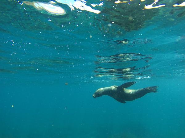 articles/galapagos-isla-san-cristobal/OTYDXJ0025.jpg