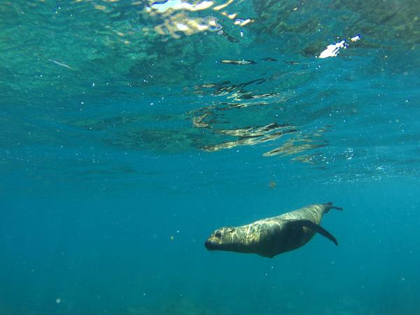articles/galapagos-isla-san-cristobal/OTYDXJ0026.jpg