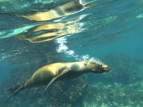 articles/galapagos-isla-san-cristobal/OTYDXJ0043.jpg