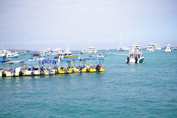 articles/galapagos-isla-santa-cruz/DSC06698.JPG