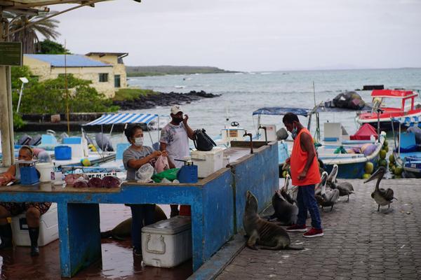 articles/galapagos-isla-santa-cruz/DSC06770.JPG