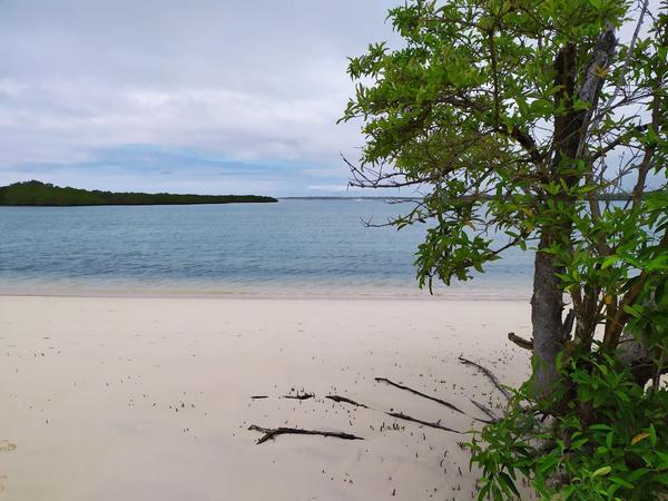 articles/galapagos-isla-santa-cruz/IMG_20210512_111952.jpg