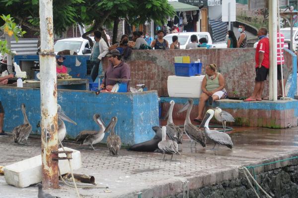 articles/galapagos-isla-santa-cruz/IMG_2101.JPG