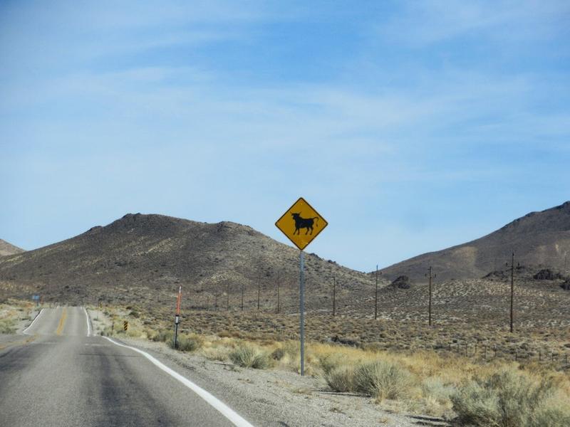 articles/grandcanyon-deathvalley-vegas-area51/Area51/IMG_0343.jpg