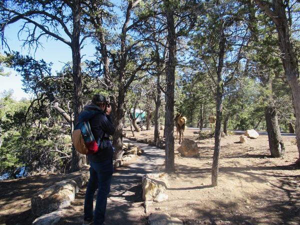 articles/grandcanyon-deathvalley-vegas-area51/GrandCanyon/IMG_9956.jpg