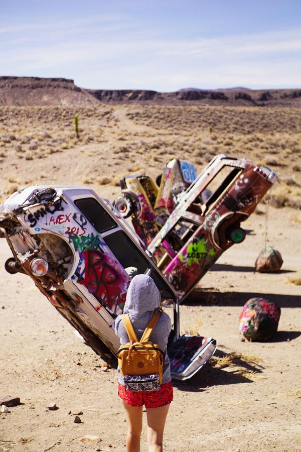 articles/grandcanyon-deathvalley-vegas-area51/InternationalCarForest/DSC05135.jpg