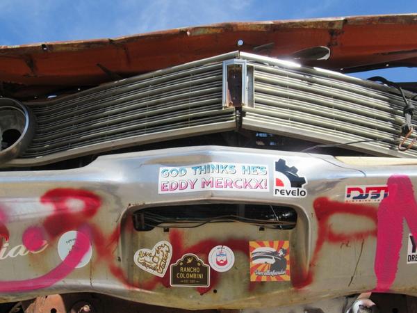 articles/grandcanyon-deathvalley-vegas-area51/InternationalCarForest/IMG_0310.jpg