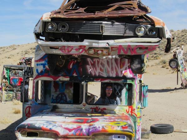 articles/grandcanyon-deathvalley-vegas-area51/InternationalCarForest/IMG_0320.jpg