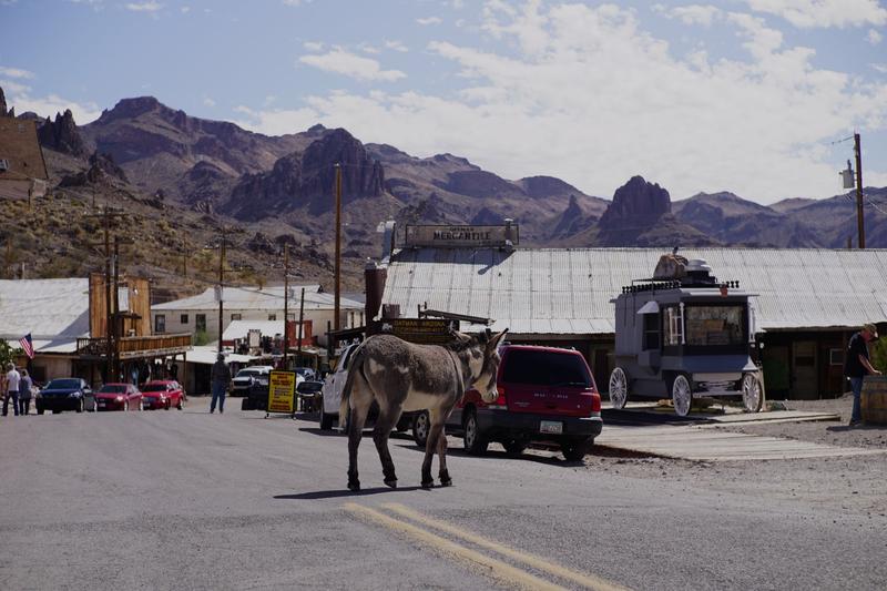 articles/grandcanyon-deathvalley-vegas-area51/Oatman/DSC04901.jpg