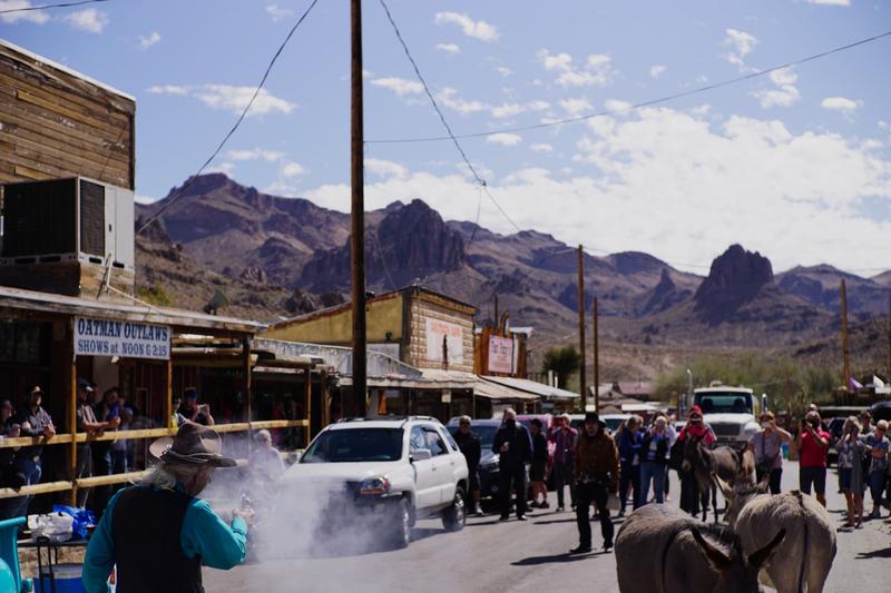 articles/grandcanyon-deathvalley-vegas-area51/Oatman/DSC04904.jpg