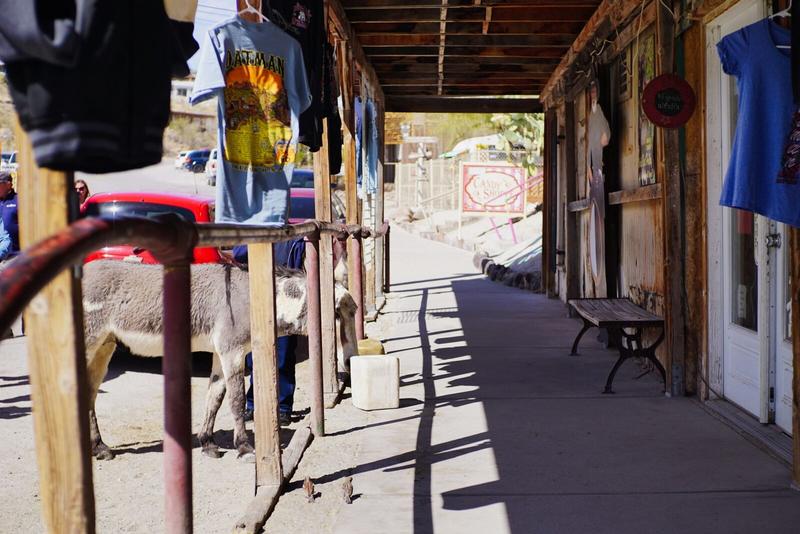 articles/grandcanyon-deathvalley-vegas-area51/Oatman/DSC04924.jpg