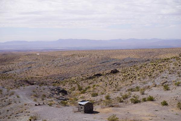 articles/grandcanyon-deathvalley-vegas-area51/Oatman/DSC04932.jpg