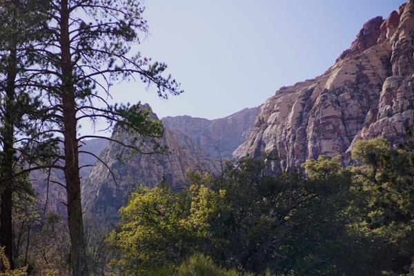 articles/grandcanyon-deathvalley-vegas-area51/RedRockCanyon/DSC04951.jpg