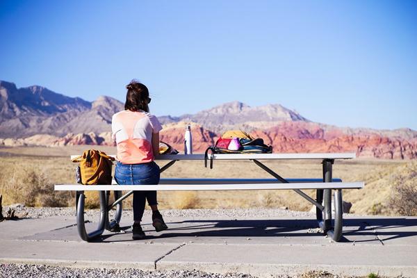 articles/grandcanyon-deathvalley-vegas-area51/RedRockCanyon/DSC04958.jpg