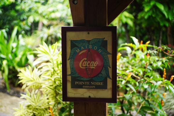 articles/guadeloupe-episode-2/MaisonDuCacao/DSC02191.jpg