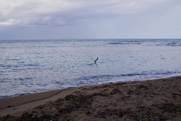 articles/guadeloupe-episode-2/PointeAllegre/DSC02213.jpg