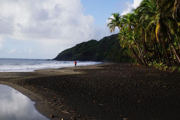 articles/guadeloupe-episode-3/NettoyagePlage/DSC02721.jpg