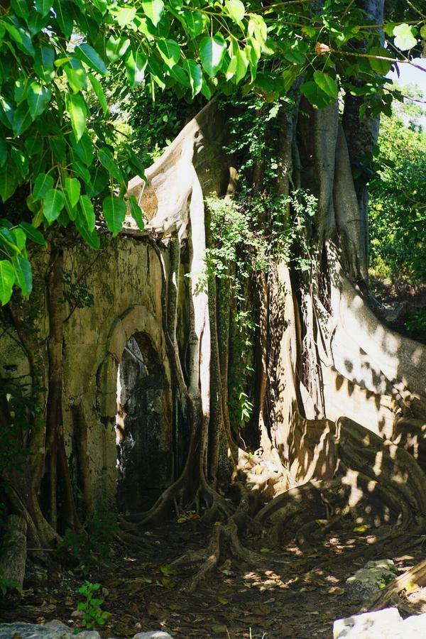 articles/guadeloupe-episode-3/PetitCanal/DSC02703.jpg