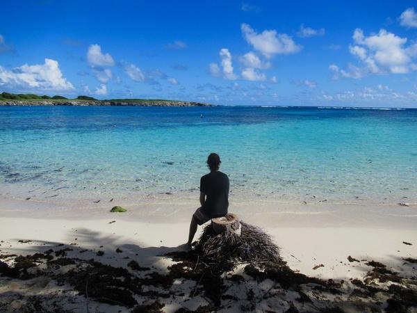 articles/guadeloupe-episode-3/PetiteTerre/IMG_7380.jpg