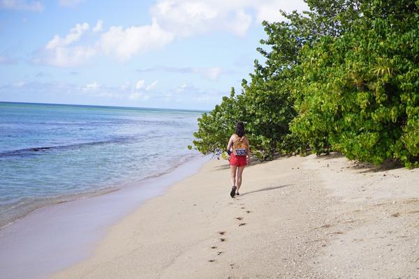 articles/guadeloupe-episode-3/PlageDuSouffleur/DSC02715.jpg