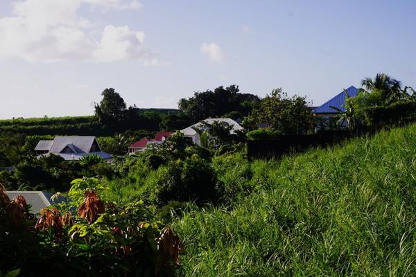 articles/guadeloupe-episode-4-et-fin/DSC02859.jpg