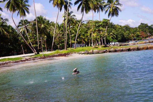 articles/guadeloupe-episode-4-et-fin/DSC02873.jpg