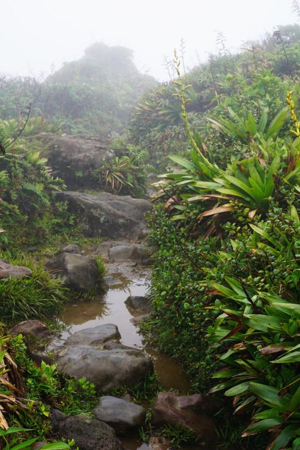 articles/guadeloupe-episode-4-et-fin/Soufriere/DSC02788.jpg