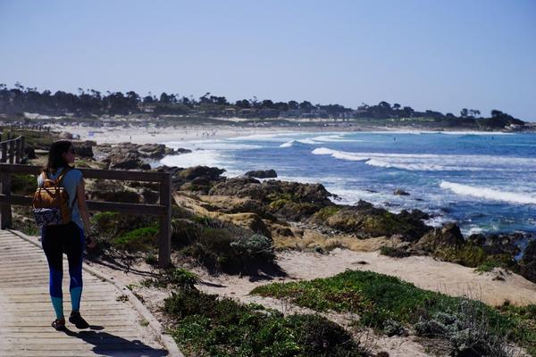 articles/hollywood-17-mile-drive-drive-in-cinema/17MileDrive/DSC05846.jpg