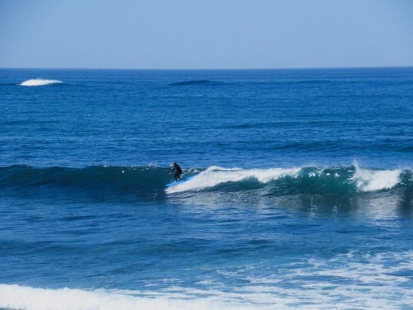 articles/hollywood-17-mile-drive-drive-in-cinema/17MileDrive/IMG_1235.jpg