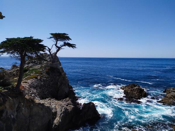 articles/hollywood-17-mile-drive-drive-in-cinema/17MileDrive/IMG_20210331_132228.jpg